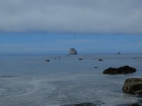 2015-06-18 olympic coast 946.JPG