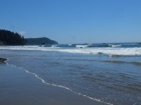 2015-06-18 olympic coast 957.JPG
