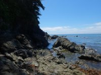 2015-06-18 olympic coast 966.JPG