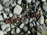 2015-06-18 olympic coast 1011.JPG