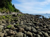 2015-06-18 olympic coast 1013.JPG