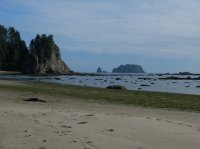 2015-06-18 olympic coast 1021.JPG