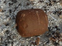 2015-06-18 olympic coast 1028.JPG