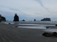 2015-06-18 olympic coast 1038.JPG