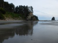 2015-06-18 olympic coast 1041.JPG