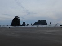 2015-06-18 olympic coast 1042.JPG