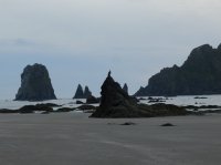 2015-06-18 olympic coast 1044.JPG