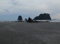 2015-06-18 olympic coast 1045.JPG