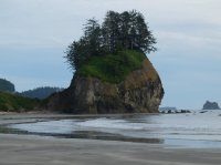 2015-06-18 olympic coast 1046.JPG