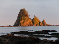 2015-06-18 olympic coast 1060.JPG
