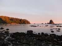 2015-06-18 olympic coast 1064.JPG