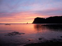 2015-06-18 olympic coast 1067.JPG