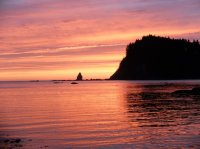 2015-06-18 olympic coast 1069.JPG