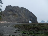 2015-06-18 olympic coast 1095.JPG