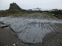 2015-06-18 olympic coast 1097.JPG