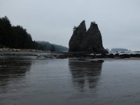 2015-06-18 olympic coast 1102.JPG