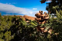 Devils Garden-25.jpg