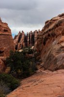 Devils Garden-49.jpg