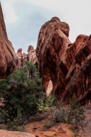 Devils Garden-50.jpg