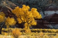 IMG_1502 web 2.jpg IMG_1502 web 2.jpg