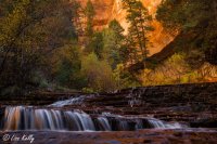 IMG_1769 web.jpg IMG_1769 web.jpg