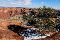 Canyonlands Snow-16.jpg