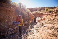 autumn-ambling-850-1.jpg autumn-ambling-850-1.jpg