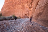 autumn-ambling-850-2.jpg autumn-ambling-850-2.jpg