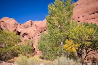 autumn-ambling-850-3.jpg autumn-ambling-850-3.jpg