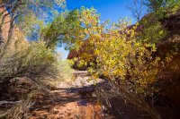 autumn-ambling-850-4.jpg autumn-ambling-850-4.jpg