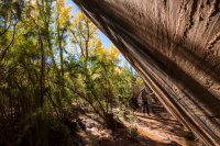 autumn-ambling-850-9.jpg autumn-ambling-850-9.jpg