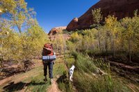 autumn-ambling-850-13.jpg autumn-ambling-850-13.jpg