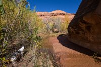 autumn-ambling-850-15.jpg autumn-ambling-850-15.jpg