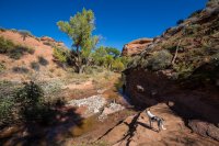 autumn-ambling-850-17.jpg autumn-ambling-850-17.jpg