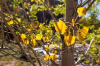 autumn-ambling-850-21.jpg autumn-ambling-850-21.jpg