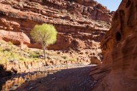 autumn-ambling-850-28.jpg autumn-ambling-850-28.jpg