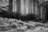 autumn-ambling-850-36.jpg autumn-ambling-850-36.jpg