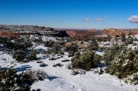 Canyonlands Snow-1.jpg