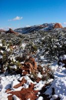 Canyonlands Snow-7.jpg