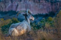 Colorado National Monument 02.jpg