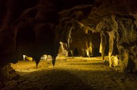 DSC04838.jpg DSC04838.jpg