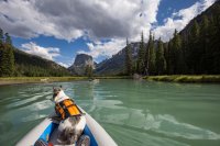 IMG_3842.jpg IMG_3842.jpg