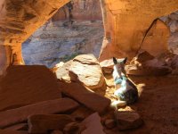 IMG_0020.jpg IMG_0020.jpg