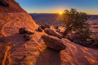 _MG_7826.jpg _MG_7826.jpg