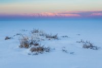 _MG_7203.jpg _MG_7203.jpg