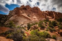 _MG_8375.jpg _MG_8375.jpg