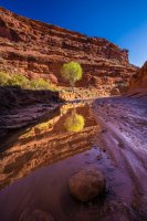 _MG_2992-HDR.jpg _MG_2992-HDR.jpg