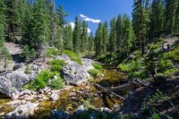 DSC02049.jpg DSC02049.jpg