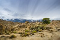 DSC02255.jpg DSC02255.jpg