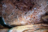 IMG_1102.jpg IMG_1102.jpg